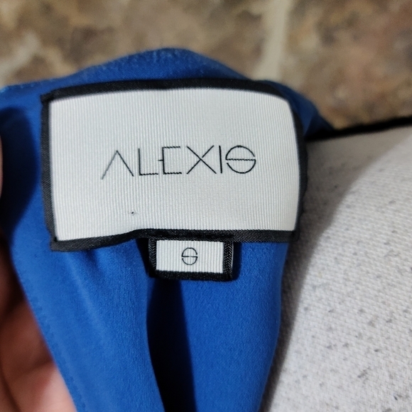 ALEXIS S SMALL Melany Ruffle Sleeve Mini Dress - Picture 6 of 7